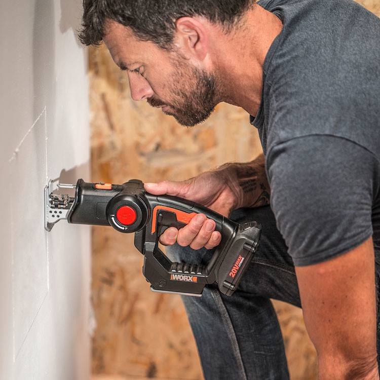 Image of Worx WX550.1 Lowes website